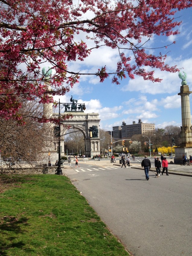Cherry blossoms in Prospect Park